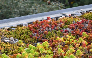 the cost of Cramond green roof installation