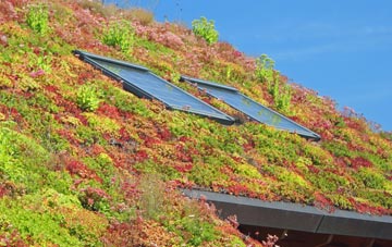 Cramond living roof systems