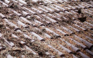 Cramond roof cleaning companies