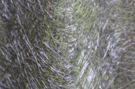 Cramond fibreglass roof work